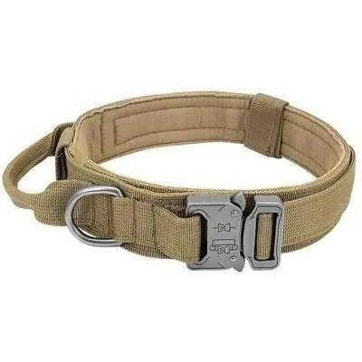 Elite Guardian Military Dog Collar & Bungee Leash Set - Finnigan's Play Pen