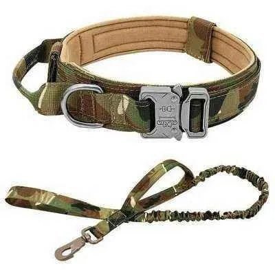 Elite Guardian Military Dog Collar & Bungee Leash Set - Finnigan's Play Pen