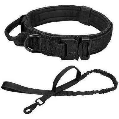 Elite Guardian Military Dog Collar & Bungee Leash Set - Finnigan's Play Pen