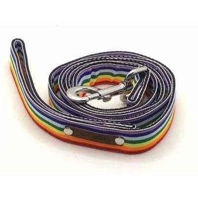Finnigan's Love Luxury Pup Lead - Finnigan's Play Pen