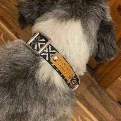 Wholesale Durable Designer Dog Collar No.01m