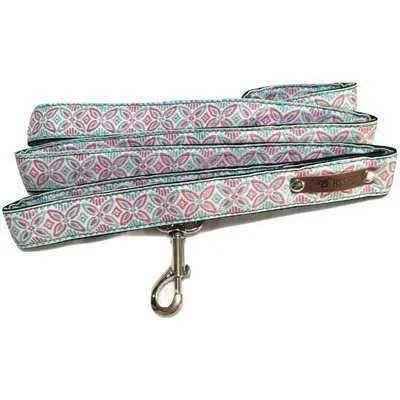 Finnigan's Signature Dog Collar Set