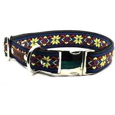 Finnigan's Stylish Custom Dog Collar Set