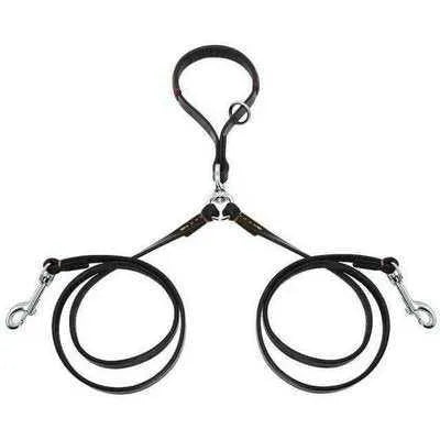 Golden Leash Duo: Luxury Leather Double Pet Leads