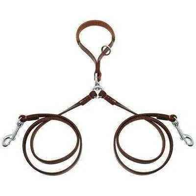 Golden Double Leather Pet Leads - Set of 2