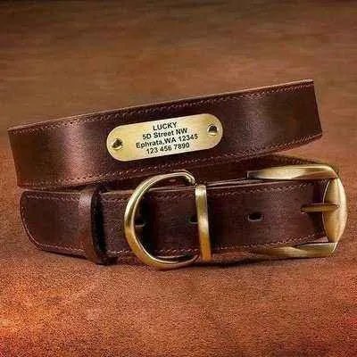 Luxury Leather Personalised Dog Collar with Engraved Tag