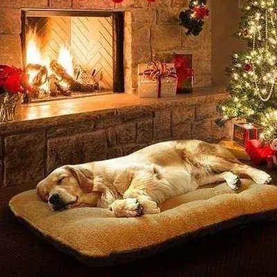 Luxury Paws Retreat Lounger - Finnigan's Play Pen