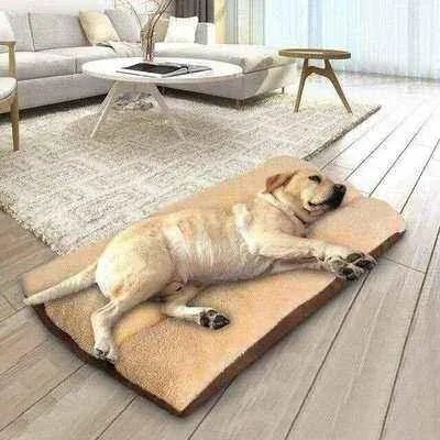 Luxury Paws Retreat Lounger - Finnigan's Play Pen