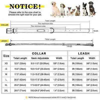 Personalised Leather Dog Fashion Set 🐾