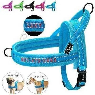 Personalised Luxury Dog Harness by Opulent Paws - Finnigan's Play Pen