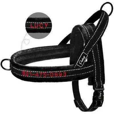 Personalised Luxury Dog Harness by Opulent Paws - Finnigan's Play Pen