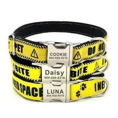 Personalised Pet Collar with Engraved Name - Finnigan's Play Pen