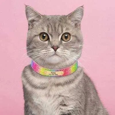 Personalised Sequin Sparkle Pet ID Collar - Finnigan's Play Pen