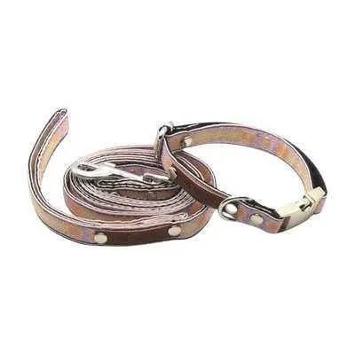 Petite Pooch Chic Cotton Collar - Finnigan's Play Pen