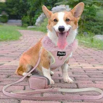 Pink Paws Pet Parade Kit: Ultimate Style & Comfort š¾ - Finnigan's Play Pen