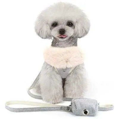 Pink Paws Pet Parade Kit: Ultimate Style & Comfort š¾ - Finnigan's Play Pen