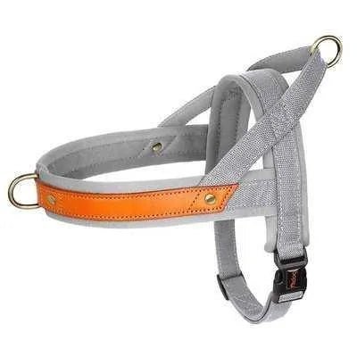 Posh Padded Dog Collar Set - Finnigan's Play Pen