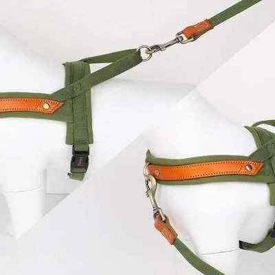 Posh Padded Dog Collar Set Finnigans