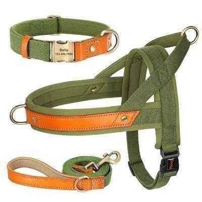 Posh Padded Dog Collar Set - Finnigan's Play Pen