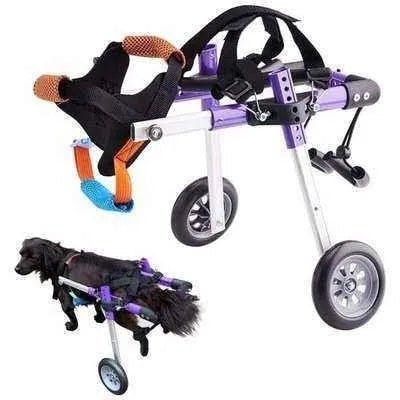 Regal Canine Purple Dog Wheelchair - Finnigan's Play Pen