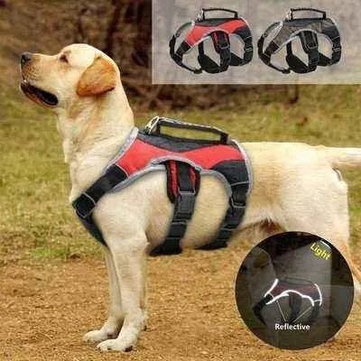 Regal Canine Reflective Mesh Harness Vest: Stylish Safety š¾ - Finnigan's Play Pen