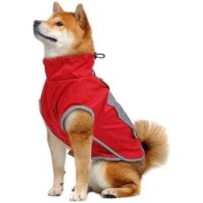 Regal Paws Waterproof Dog Jacket - Finnigan's Play Pen