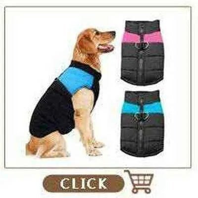 Regal Paws Waterproof Dog Jacket - Finnigan's Play Pen