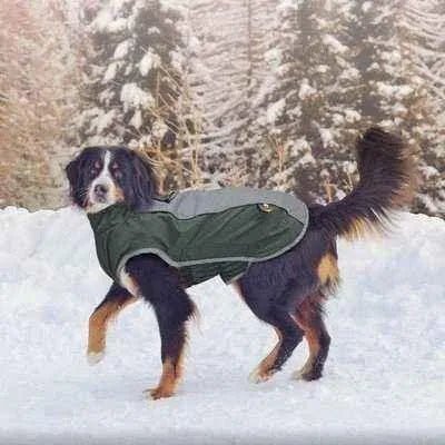 Regal Paws Waterproof Dog Jacket - Finnigan's Play Pen