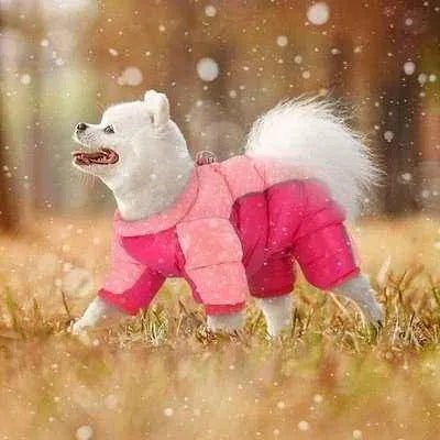 Rose Gold Reflective Winter Dog Coat - Finnigan's Play Pen