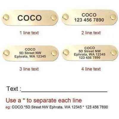 Royal Canine Elegance Personalised Leather Dog Collar & Leash Set 🐾