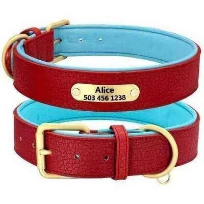 Royal Paws Personalised Leather Dog Collar - Finnigan's Play Pen