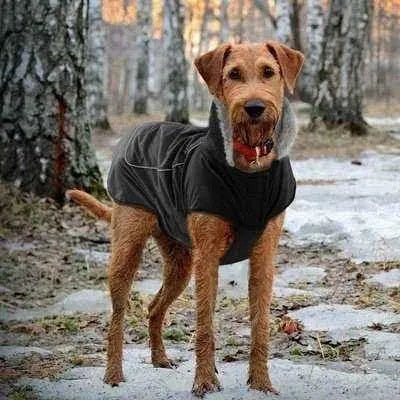 Royal Paws Winter Elegance Waterproof Dog Jacket - Finnigan's Play Pen