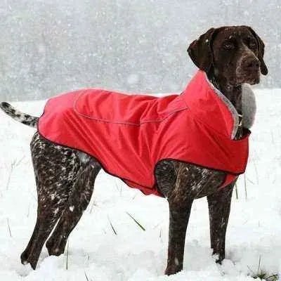 Royal Paws Winter Elegance Waterproof Dog Jacket - Finnigan's Play Pen