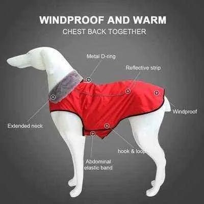 Royal Paws Winter Elegance Waterproof Dog Jacket - Finnigan's Play Pen