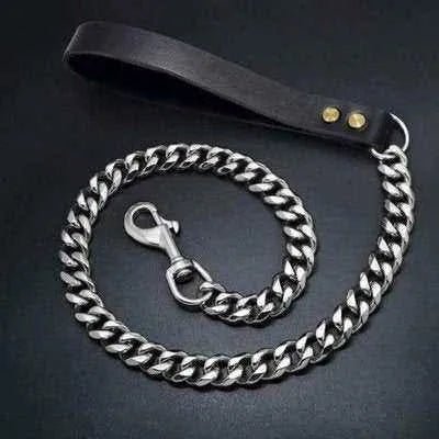 Stainless Steel Dog Chain Collar & Leash Set: Strength meets Style - Finnigan's Play Pen