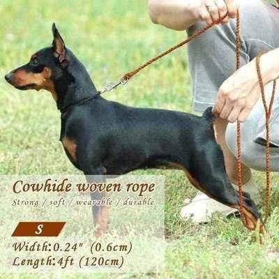 Stylish 4ft Rolled Leather Dog Leash š¾ - Finnigan's Play Pen