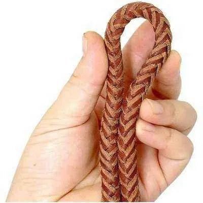 Stylish 4ft Rolled Leather Dog Leash š¾ - Finnigan's Play Pen