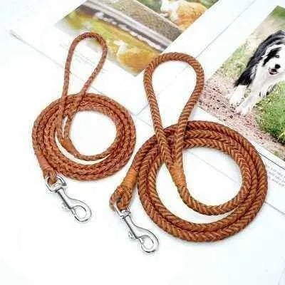 Stylish 4ft Rolled Leather Dog Leash š¾ - Finnigan's Play Pen