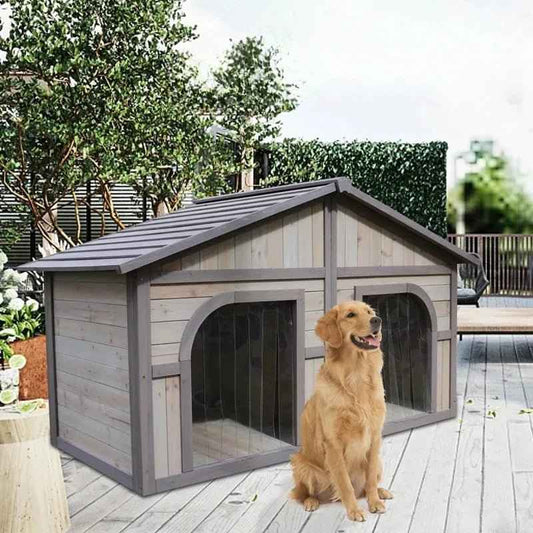 Does my Dog need a Dog House? - Finnigan's Play Pen