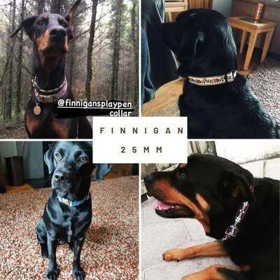 Pawsome Handcrafted 25mm Collars 🐾🐶 - Finnigan's Play Pen