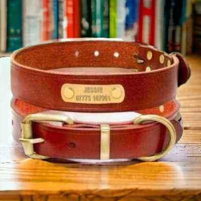 Discover opulent collars fit for your regal companion.