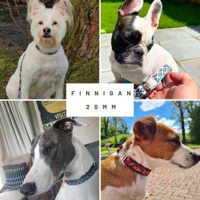 Unique 20mm Finnigan designer dog collars! 🐾 - Finnigan's Play Pen