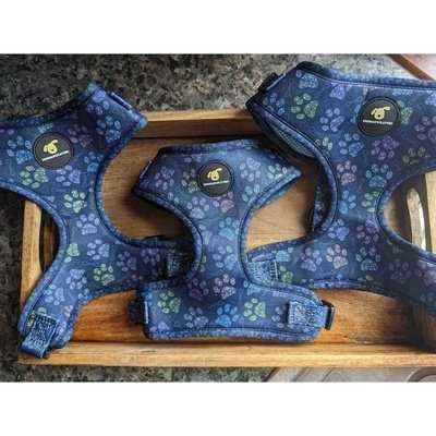 “Finnigan Breathable Fabric and Sturdy Hardware Designer Dog Harness” 🐾