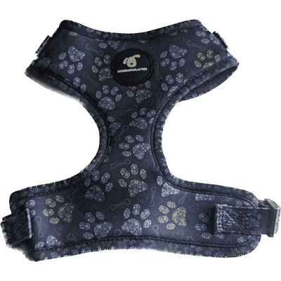 Finnigan's Paws Up Harness - Finnigan's Play Pen