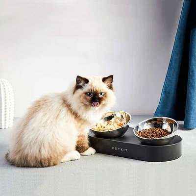 RegalPaws Majesty: Deluxe Anti-Slip Pet Feeding Set