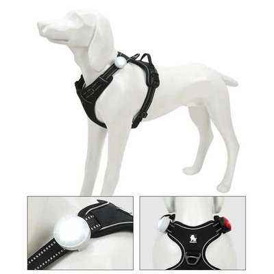 Truelove Pet Safety Flashing Dog Led Light Dog Accessories LED Glowing Pendant Outdoor Night for Collar Harness Pet Products