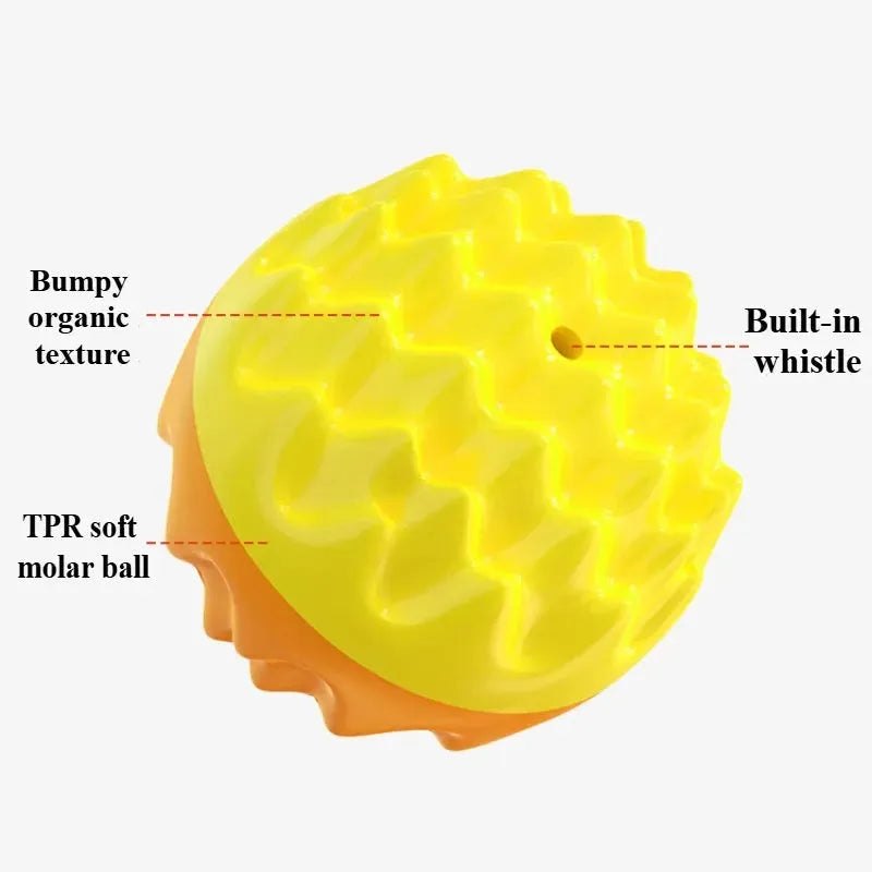 Pet Toy Ball Chewing, Teeth Grinding, Teeth Cleaning, Bite-Resistant Cat Toy, Chewing And Sounding Elastic Dog Toy Ball