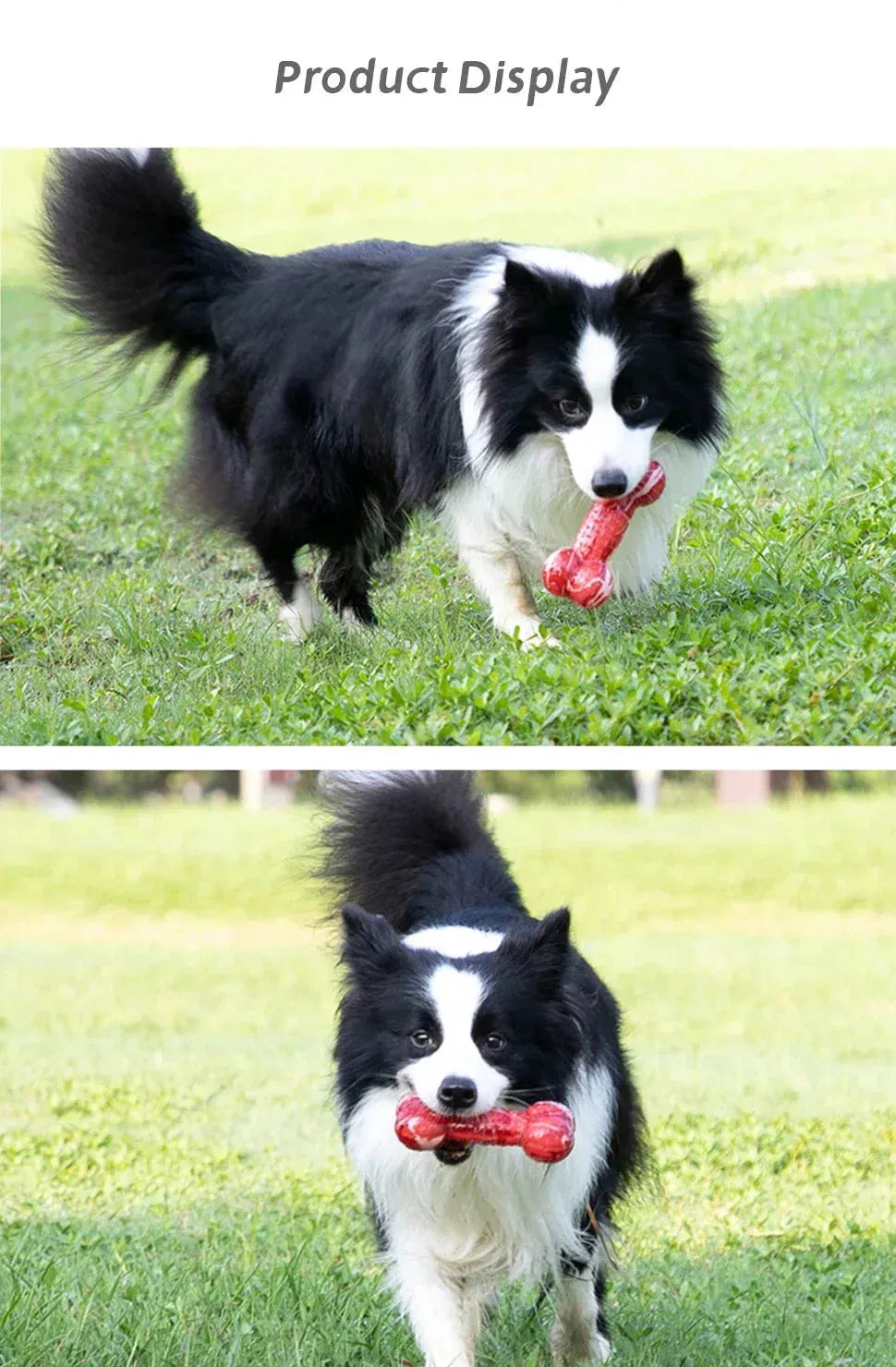 Gigwi Dog Toy G-BLINK Series Bite Resistance Bouncy Pet Chew Toy Small/Medium Dog Molar Bite Resistant Sounding Toy Pet Supplies