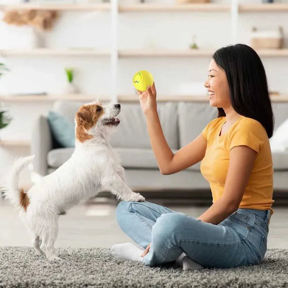 Pet Dog Toy Ball Smart Interactive Rechargeable Automatic Jumping Rolling Moving Ball with 2 Modes Motion Activated Dog Cat Toys