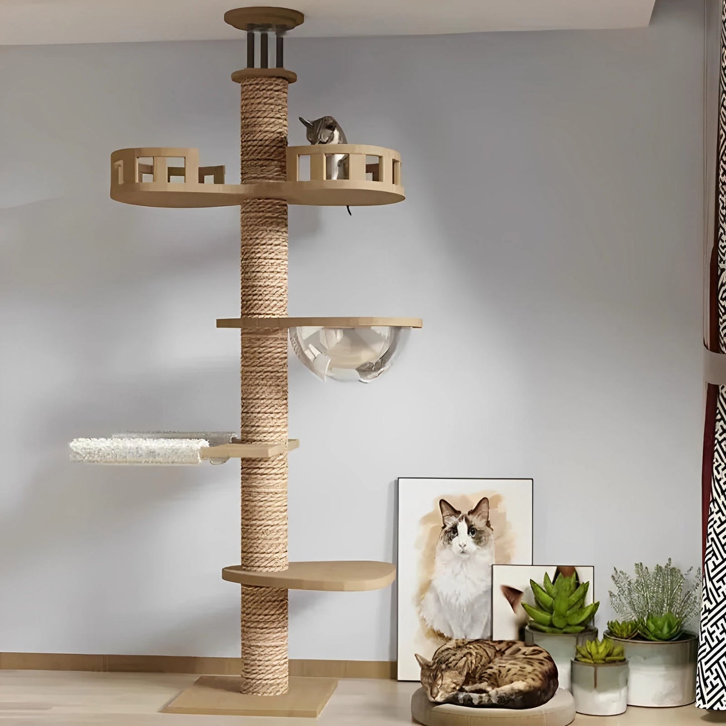 Cat climbing frame clearance